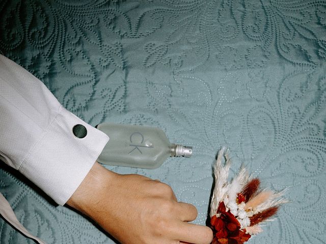 Le mariage de Anis et Vicky à Signes, Var 8