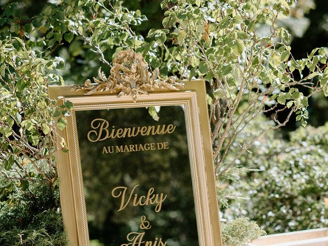 Le mariage de Anis et Vicky à Signes, Var 27