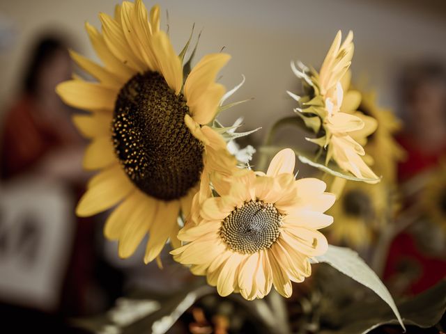 Le mariage de Julien et Lucile à La Francheville, Ardennes 23