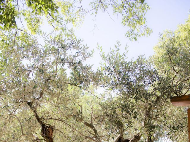 Le mariage de Laurent et Audrey à Montfavet, Vaucluse 272