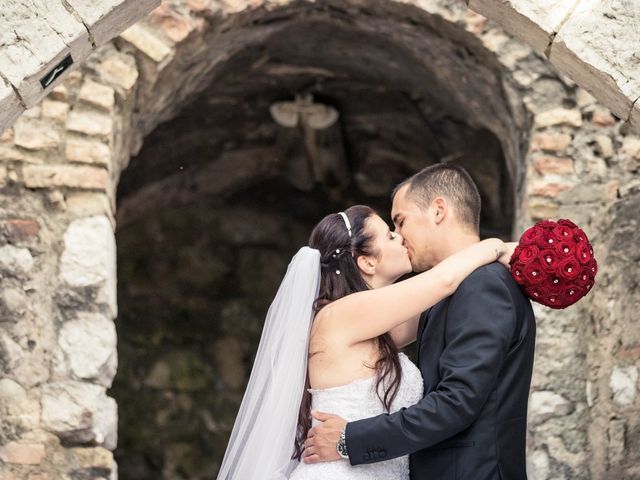 Le mariage de Pascal et Alexandra à Saint-Martin-du-Var, Alpes-Maritimes 27