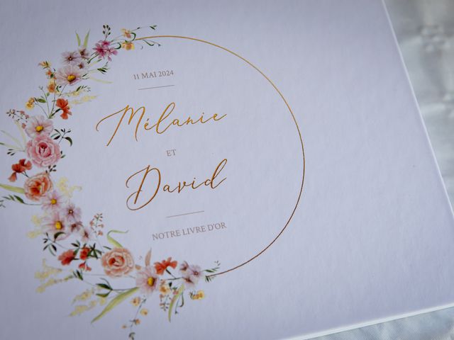 Le mariage de David et Mélanie à Chalonnes-sur-Loire, Maine et Loire 68