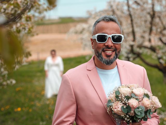 Le mariage de Momo et Kristelle à Satigny, Genève 14