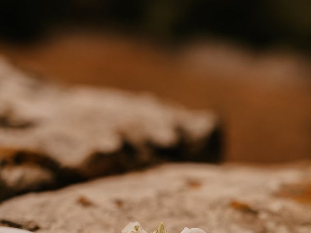 Le mariage de Yoann et Sabrina à Castelnau-le-Lez, Hérault 32