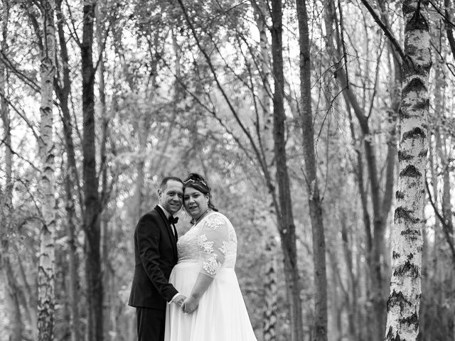 Le mariage de Alexandre et Nathalie à Ormesson-sur-Marne, Val-de-Marne 22