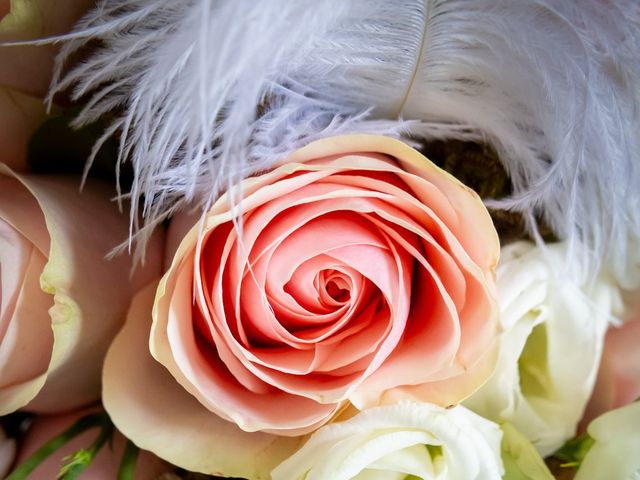 Le mariage de Jules et Lauren à Sarlat-la-Canéda, Dordogne 16