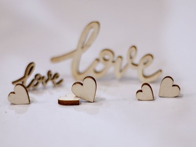 Le mariage de Nicolas et Laura à La Chapelle-Hermier, Vendée 71