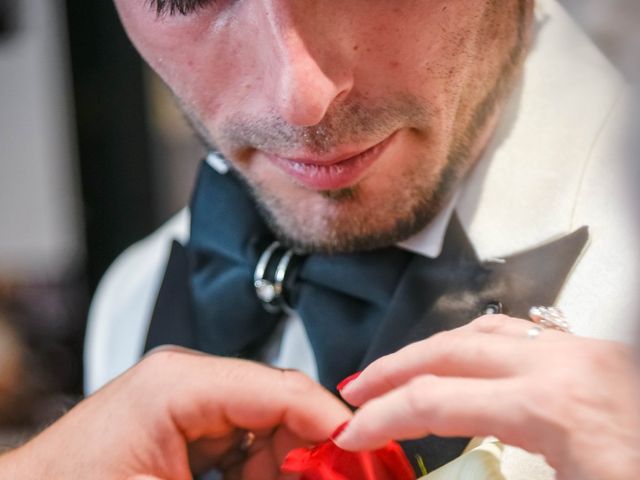 Le mariage de Fabien et Andréa à Pertuis, Vaucluse 8