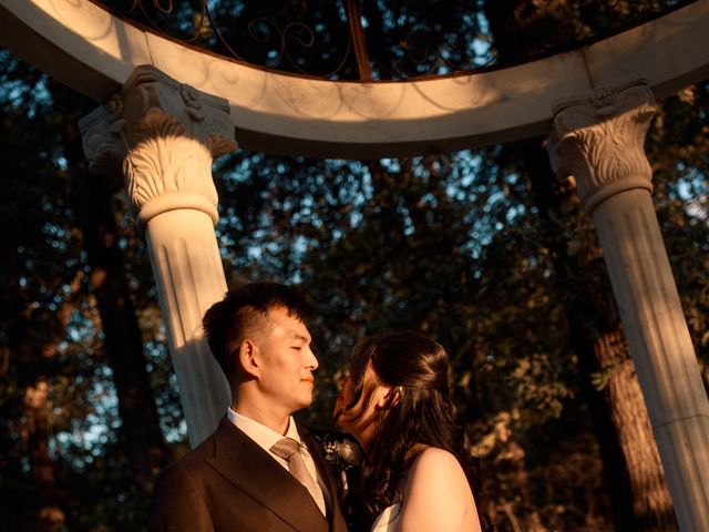Le mariage de Wesly et Victoria à Paray-Douaville, Yvelines 96