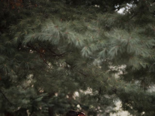 Le mariage de Cédric et Sabrina à La Bourboule, Puy-de-Dôme 20