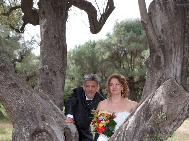 Le mariage de Denis et Sandrine   à Pignans, Var 33