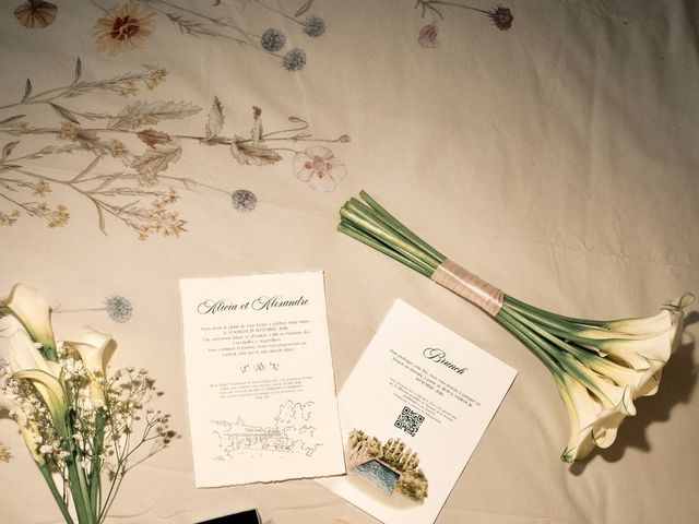 Le mariage de Alexandre et Alicia à Angervilliers, Essonne 10