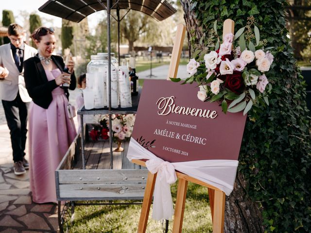 Le mariage de Cédric et Amélie à Avignon, Vaucluse 10