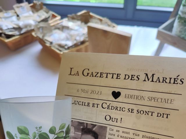 Le mariage de Michalak  et Lucile  à Vimory, Loiret 9