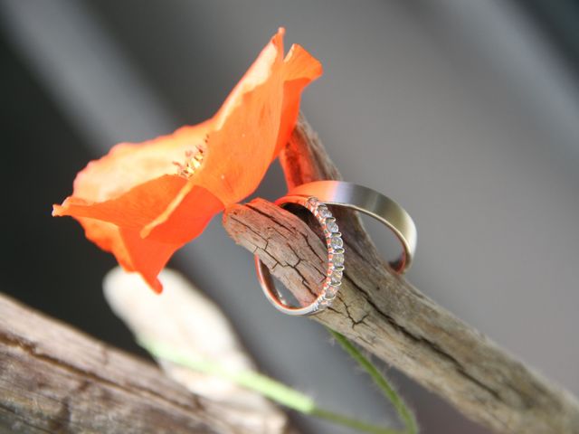 Le mariage de Laurent et Elodie à Saint-Jean-Saint-Nicolas, Hautes-Alpes 7