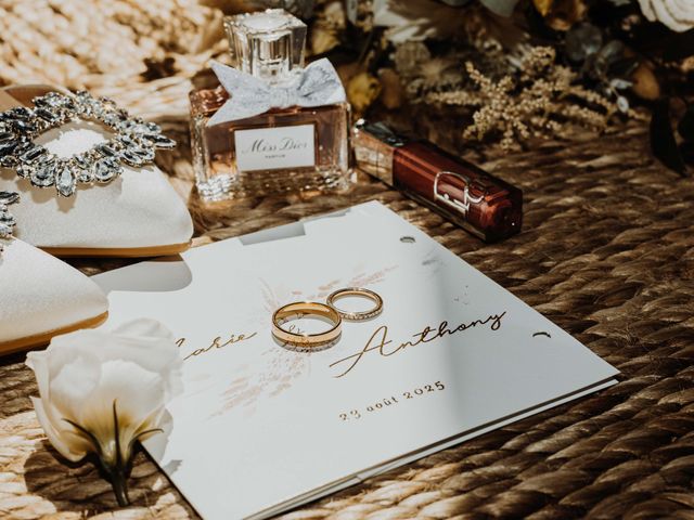 Le mariage de Anthony et Marie à Salt-en-Donzy, Loire 17