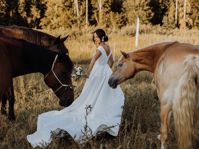 Le mariage de Anthony et Marie à Salt-en-Donzy, Loire 46