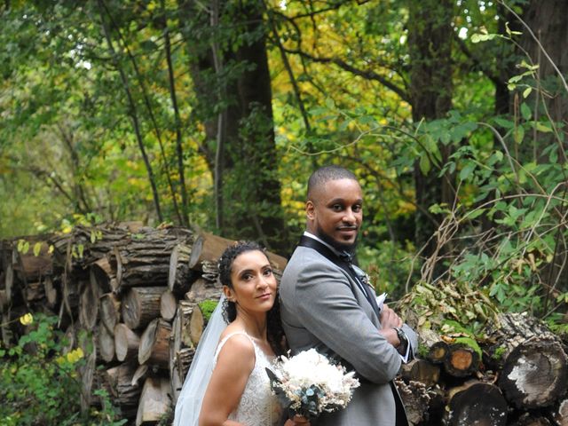 Le mariage de Josué et Audrey à Santeny, Val-de-Marne 15