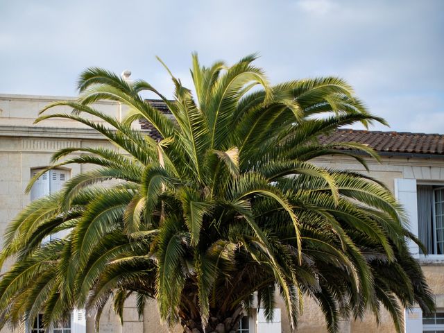 Le mariage de Mike et Laetitia à Saint-Palais-sur-Mer, Charente Maritime 41