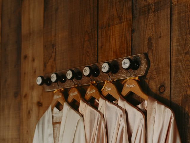 Le mariage de STEPHANE et AMELIE à Vichy, Allier 9