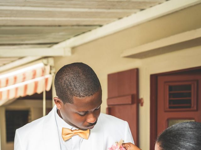 Le mariage de Steeve et Virginie à Sainte-Marie, Martinique 11