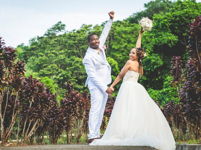 Le mariage de Steeve et Virginie à Sainte-Marie, Martinique 17