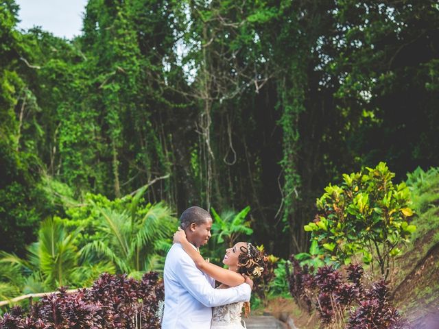 Le mariage de Steeve et Virginie à Sainte-Marie, Martinique 18