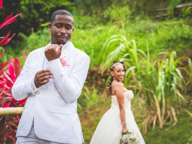Le mariage de Steeve et Virginie à Sainte-Marie, Martinique 24
