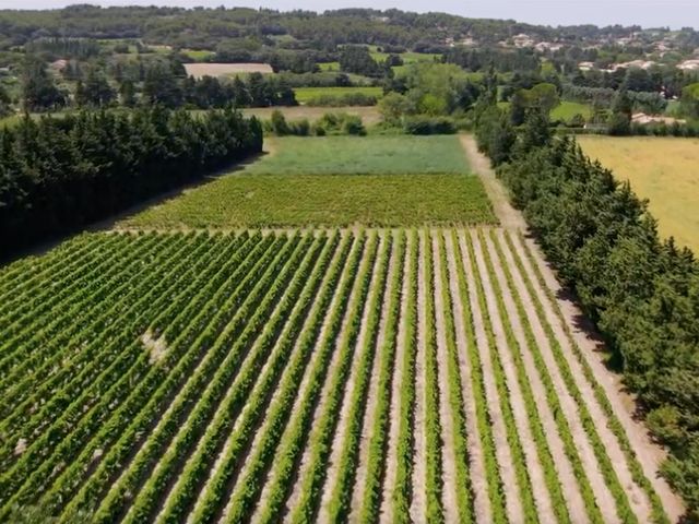 Le mariage de Adrien et Caroline à Châteauneuf-de-Gadagne, Vaucluse 18