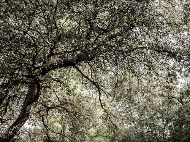 Le mariage de Alban et Marine à Piolenc, Vaucluse 8
