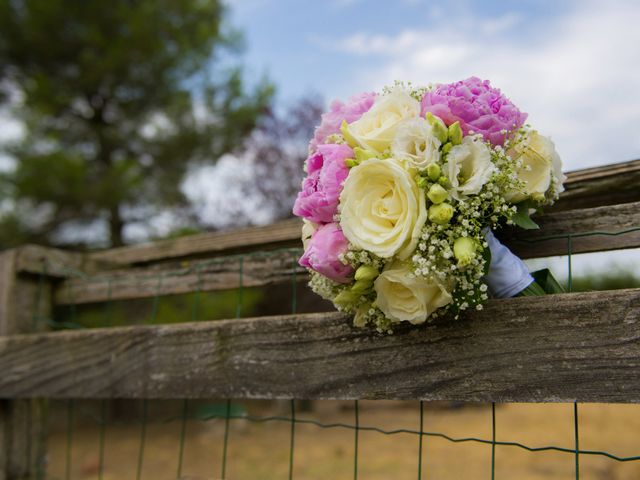 Le mariage de David et Cathy à Mas-Blanc-des-Alpilles, Bouches-du-Rhône 17