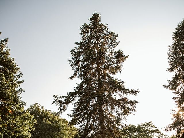 Le mariage de Julien et Mélissa à Saint-Martin-sur-Ocre, Loiret 29