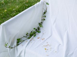 Le mariage de Daphnée et Loïc 3