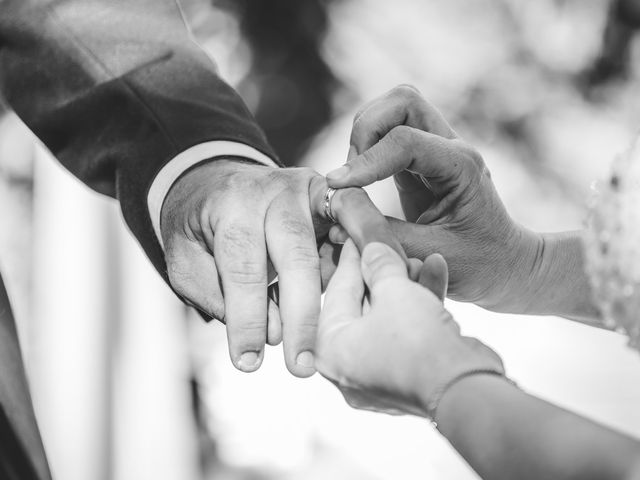 Le mariage de Jérôme et Christèle à L&apos;Isle-sur-la-Sorgue, Vaucluse 47