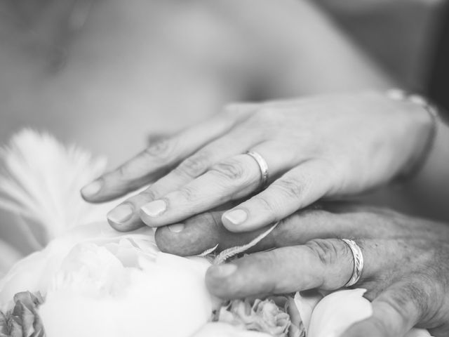 Le mariage de Jérôme et Christèle à L&apos;Isle-sur-la-Sorgue, Vaucluse 53