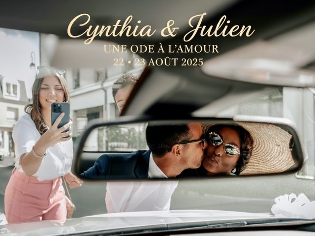 Le mariage de Julien et Cynthia à Le Plessis-Trévise, Val-de-Marne 46