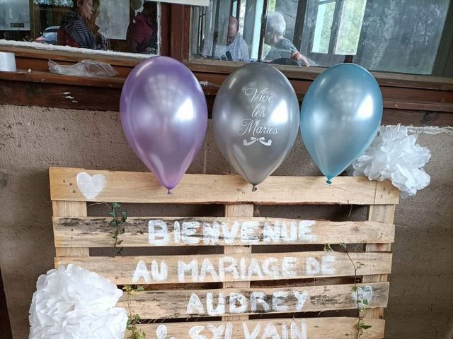 Le mariage de Riff et Audrey à Dambach-la-Ville, Bas Rhin 3