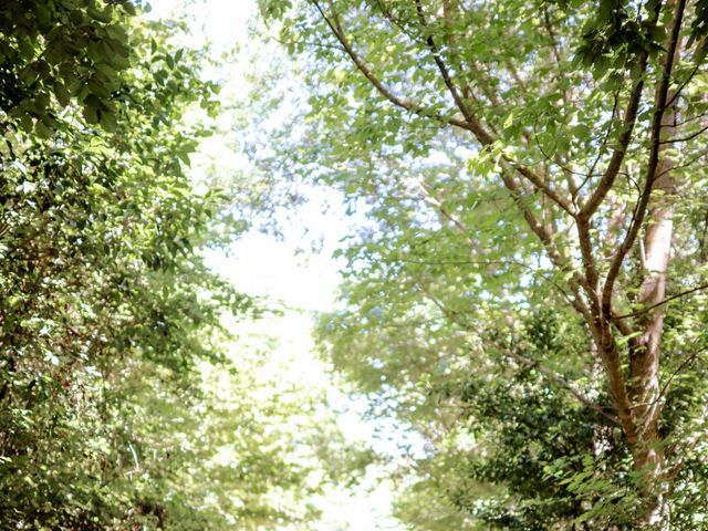 Le mariage de Florent et Charlotte à Monteux, Vaucluse 63