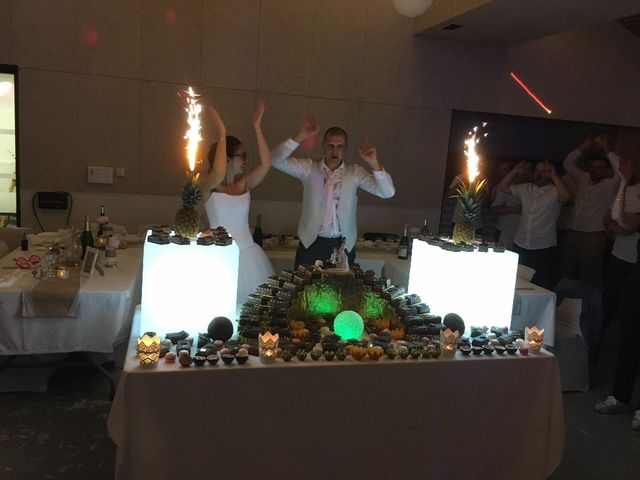 Le mariage de Laurent et Stéphanie à Tabre, Ariège 14