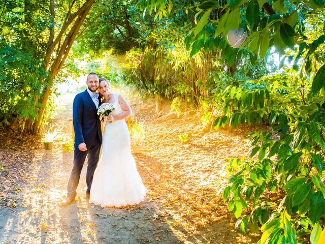 Le mariage de Luc et Christelle à Dax, Landes 40