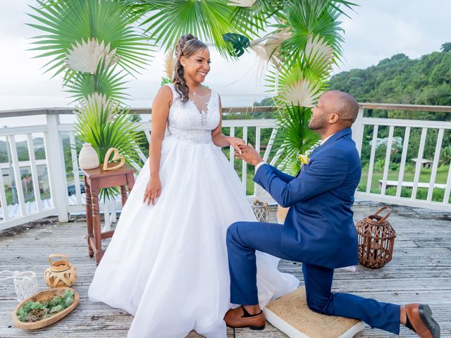 Le mariage de David et Ana à Sainte-Luce, Martinique 10