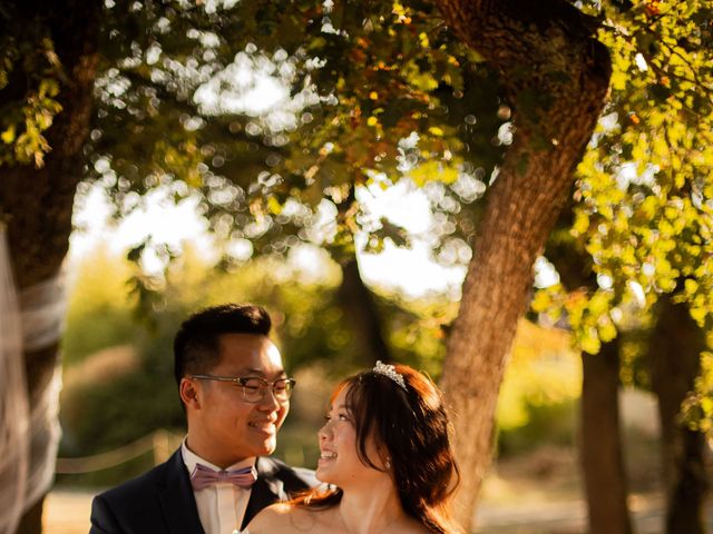 Le mariage de Camille et Thomas  à Toulouse, Haute-Garonne 14