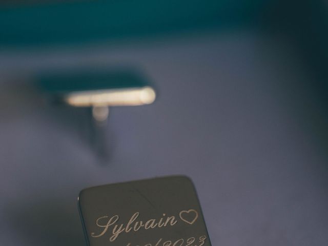 Le mariage de Sylvain et Elodie à Fouzilhon, Hérault 3