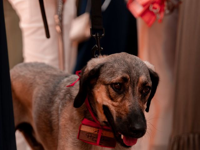 Le mariage de David et Turkyan à Monein, Pyrénées-Atlantiques 16