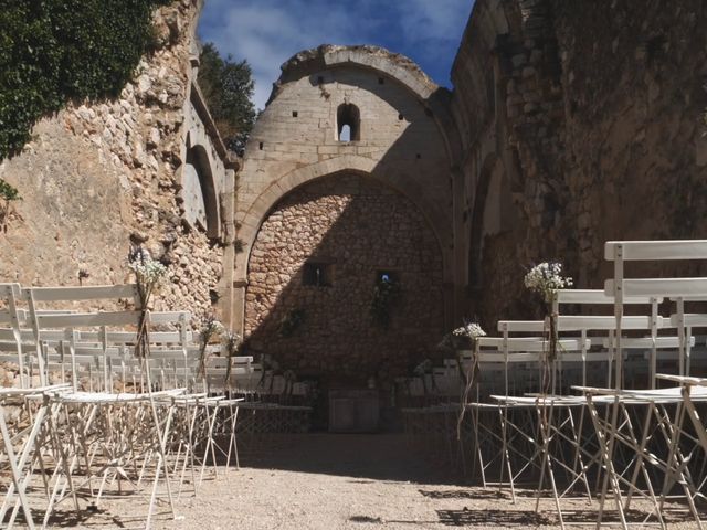 Le mariage de Thomas et Lisa à Grignan, Drôme 11