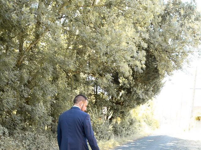 Le mariage de Aurélien et Julie à Saint-Antoine-du-Rocher, Indre-et-Loire 11