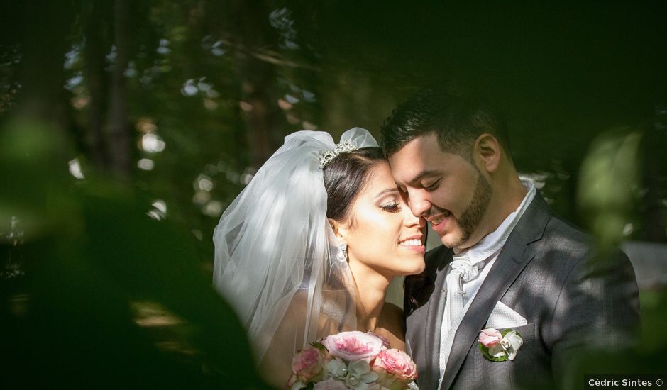 Le mariage de Mehdi et Sonia à Ambilly, Haute-Savoie