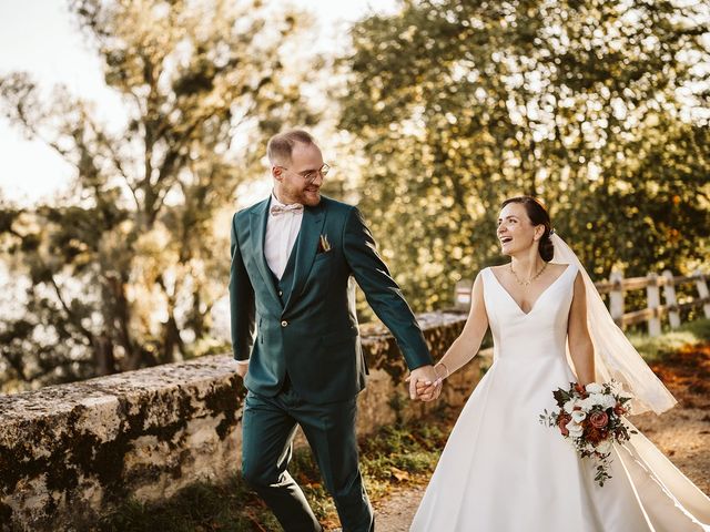 Le mariage de Clément et Perrine à Chaumont-sur-Tharonne, Loir-et-Cher 20