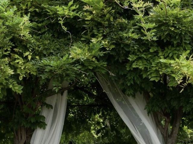 Le mariage de Andy et Fanny  à Saint-Cannat, Bouches-du-Rhône 3