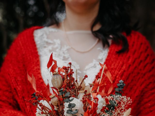 Le mariage de Poupeau  et Julie  à Saint-Denis-en-Val, Loiret 13